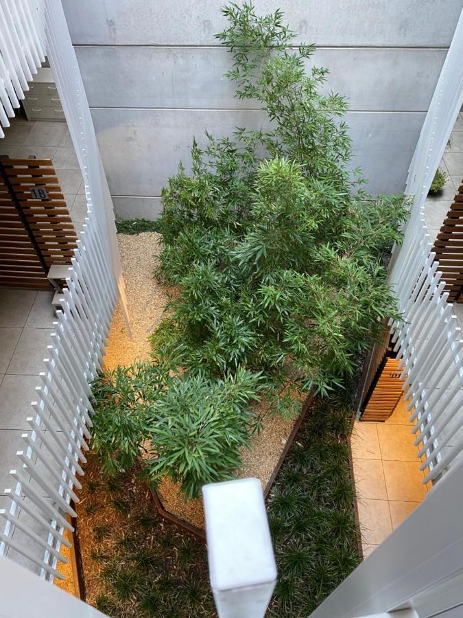 The Gallery Luxe 1 Bedroom Executive Apartment In The Heart Of Braddon Wine Secure Parking Wifi Canberra Zewnętrze zdjęcie